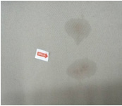 Oil Stain
