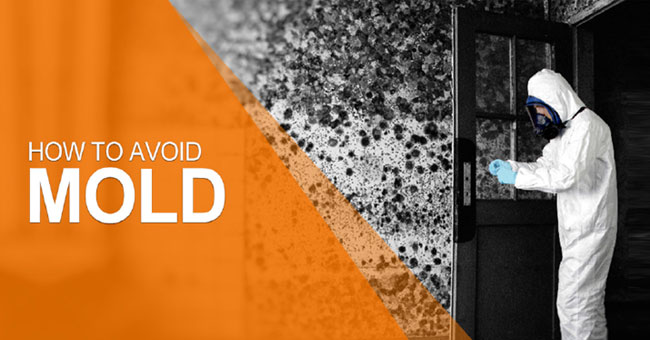 How to Avoid Mold for Your Goods
